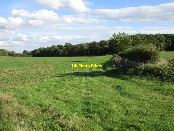 Photo 6"x4" Footpath to Nocton Fen Lane Nocton c2016