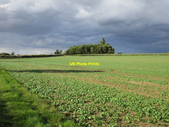 Photo 6"x4" View towards Barff Farm Potterhanworth c2016