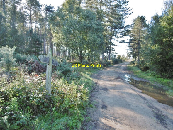 Photo 6"x4" Newton Heath, signpost Bushey\/SY9883 c2016