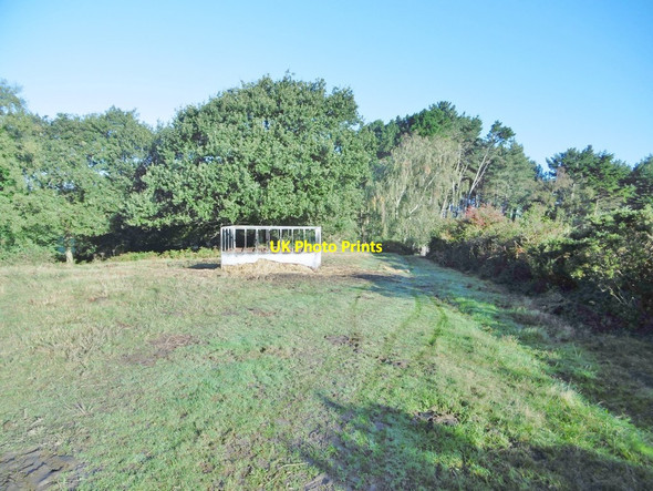 Photo 6"x4" Rempstone, cattle feeder Bushey\/SY9883 c2016