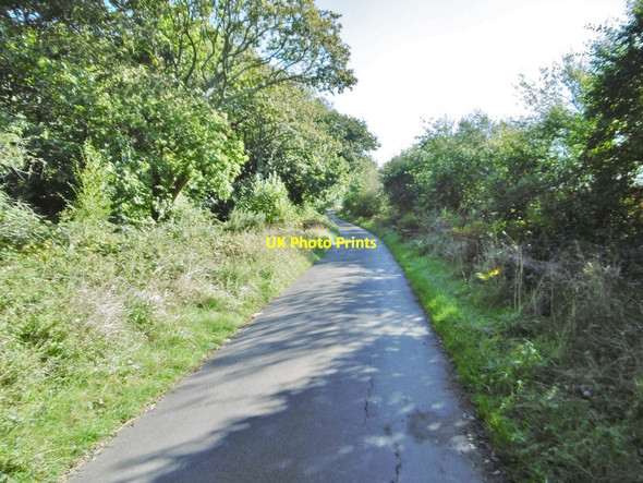 Photo 6"x4" Rempstone, Breaches Lane Bushey\/SY9883 c2016