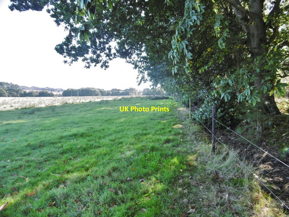 Photo 6"x4" Rempstone, footpath Bushey\/SY9883 c2016