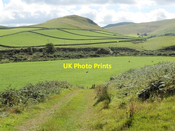 Photo 6"x4" View across the valley of the Bowmont Water Mowhaugh c2016