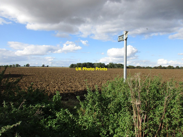 Photo 6"x4" Ploughed footpath Lissington c2016