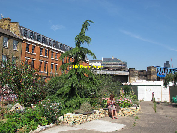 Photo 6"x4" Cross Bones Garden - general view London c2016