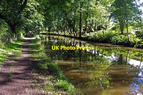 Photo 6"x4" Lancaster Canal near Forton Potters Brook c2016