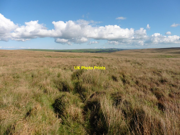 Photo 6"x4" Moorland above Squallacombe Challacombe\/SS6940 c2016
