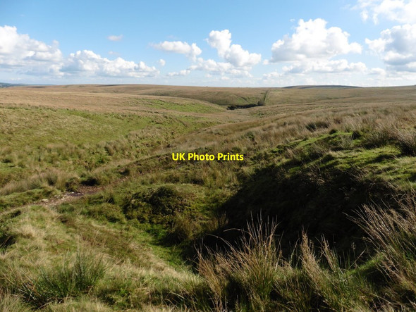 Photo 6"x4" Headwaters of the River Barle Challacombe\/SS6940 c2016