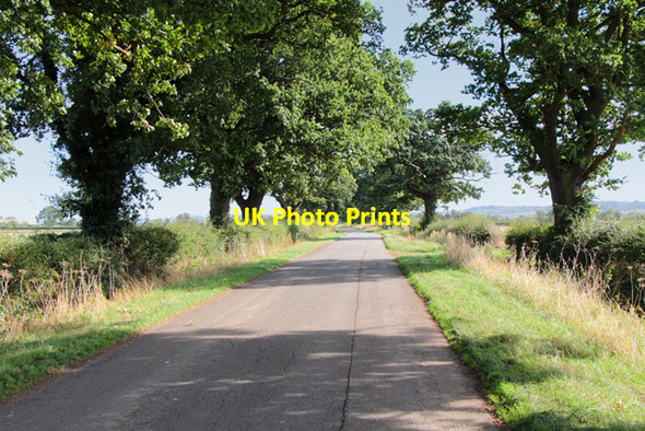 Photo 6"x4" Woolsthorpe Lane  Stenwith c2016