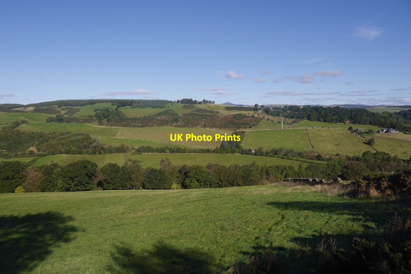 Photo 6"x4" North side of The Knocky Blairgowrie c2016