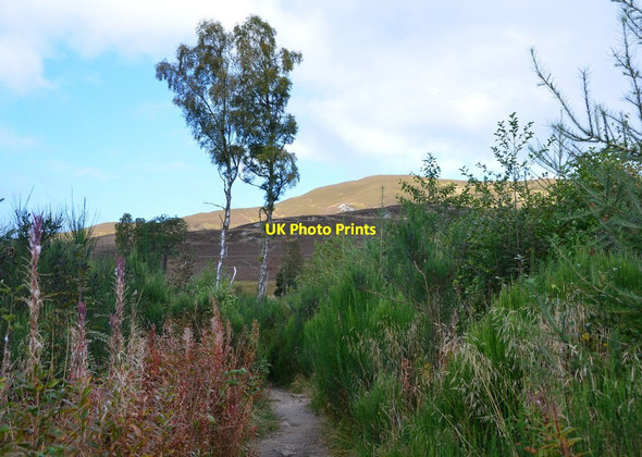 Photo 6"x4" Path to Ben Vrackie Pitlochry c2016