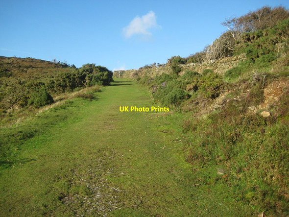 Photo 6"x4" Rest a while Lynton c2016