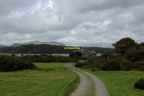 Photo 6"x4" Track leading to Clogwyn-melyn Llanfihangel-y-traethau c2016