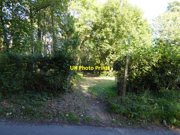Photo 6"x4" Looking east from Brantbridge Lane at footpath crossing Staplefield c2016