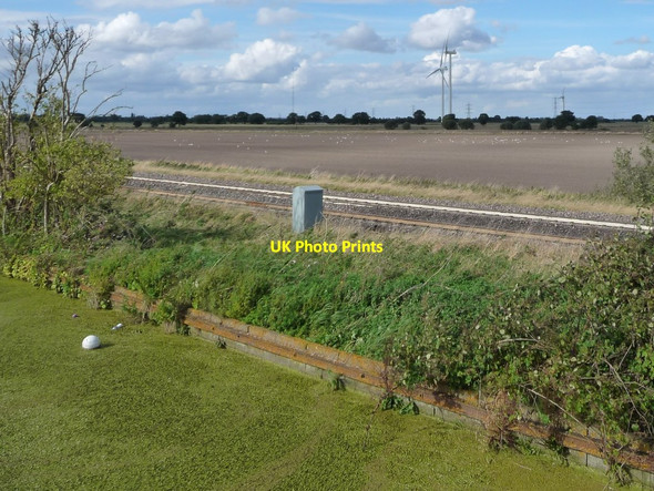 Photo 6"x4" Not grass, but duckweed Hatfield Chase c2016