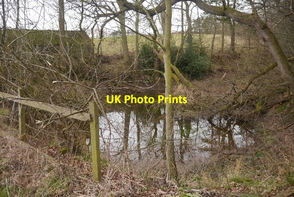Photo 6"x4" Pond, Lochside Town Yetholm c2016