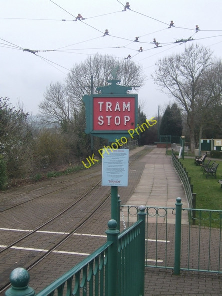 Photo 6"x4" Colyton Tram Stop Kingsdon\/SY2594 c2009