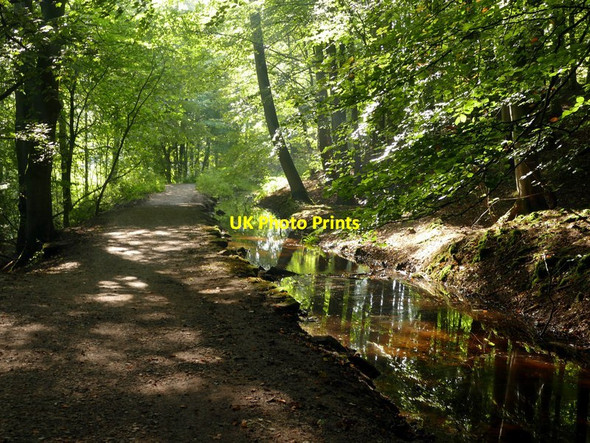 Photo 6"x4" Mill race in Skipton Woods Skipton c2016