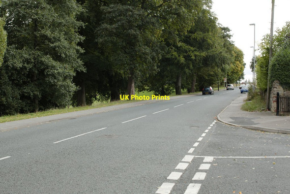 Photo 6"x4" Armley Ridge Road Upper Armley c2016