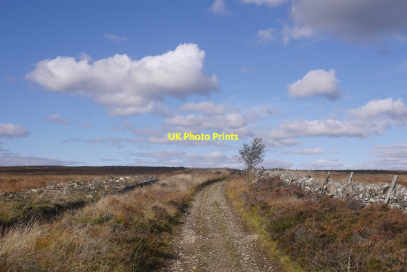 Photo 6"x4" Drove Road Bridge of Cally c2016