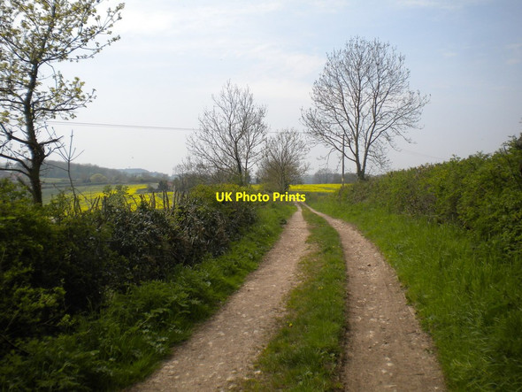 Photo 6"x4" Robin Hood Way west of Halam (6) Edingley c2016