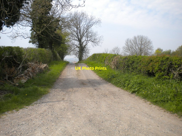 Photo 6"x4" Lane west of Little Turncroft Farm Edingley c2016