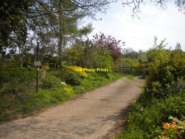 Photo 6"x4" Vehicular access to Meadow Farm Farnsfield c2016