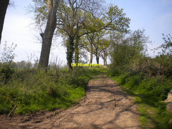 Photo 6"x4" Public footpath towards Farnsfield Farnsfield c2016