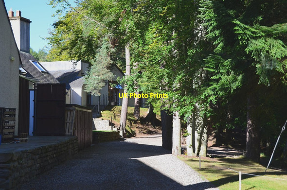 Photo 6"x4" Path to the Falls of Bruar Bruar c2016