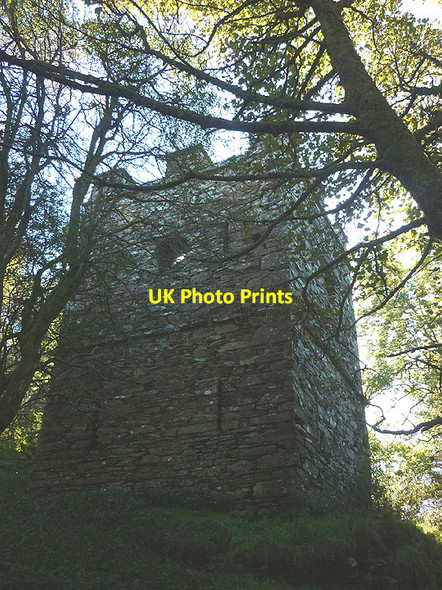 Photo 6"x4" Finsthwaite Tower Finsthwaite c2016