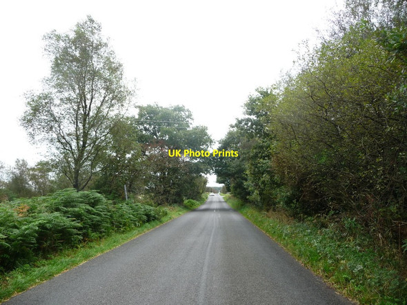 Photo 6"x4" Wirestone Lane [2] Uppertown\/SK3264 c2016