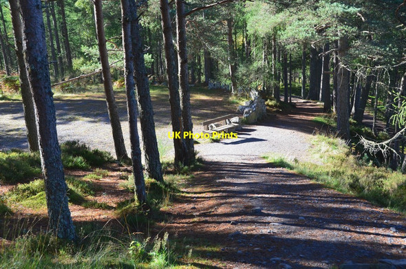 Photo 6"x4" Waterfall path and forest track, Bruar Bruar c2016