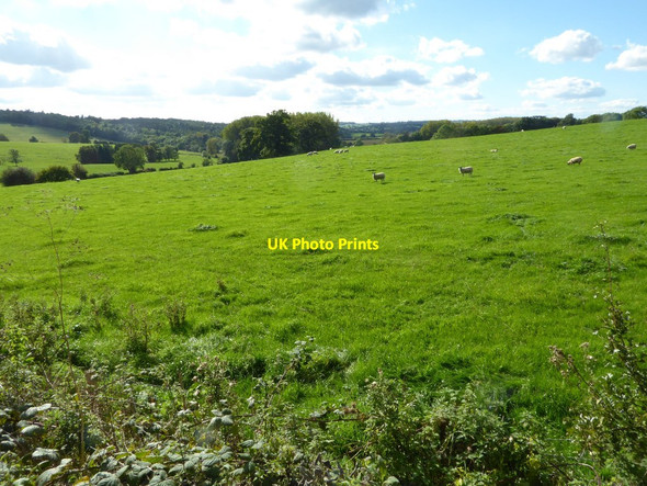 Photo 6"x4" Farmland south of the site of Saltmarshe Castle Edvin Loach c2016