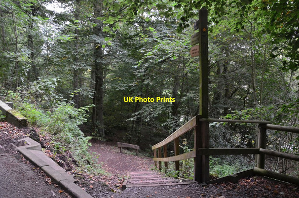 Photo 6"x4" Start of Speedy's Path, Earlston Earlston\/NT5738 c2016