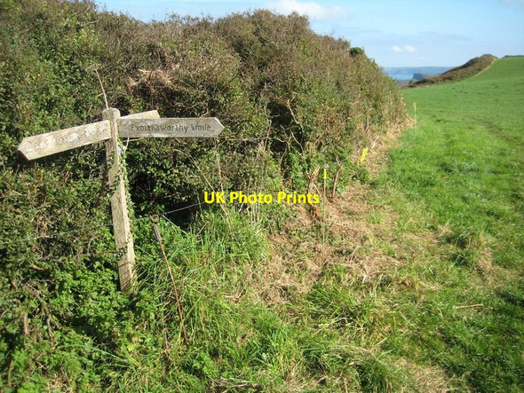 Photo 6"x4" Footpath to Exmansworthy Mouth Mill c2009