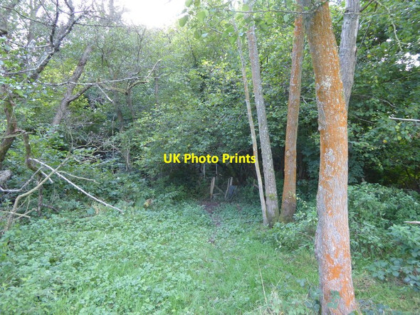 Photo 6"x4" Footpath leading to footbridge East Grinstead c2016
