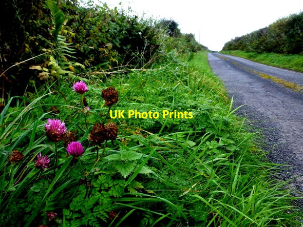 Photo 6"x4" Cornavarrow Road Dromore\/H3562 c2016
