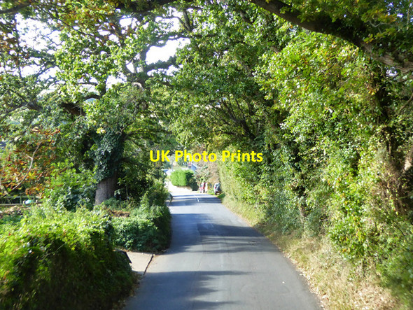 Photo 6"x4" Hillway Road Bembridge c2016