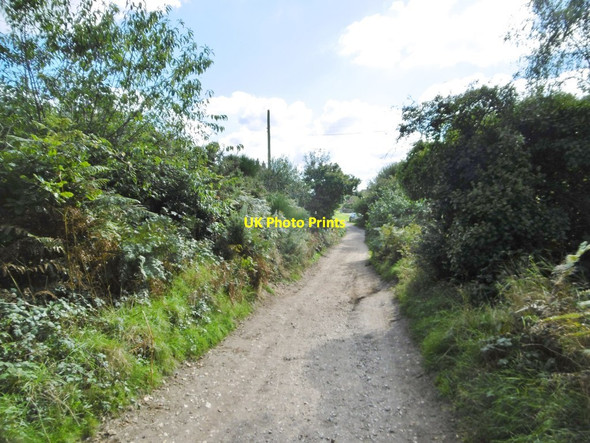 Photo 6"x4" Wareham, bridleway Wareham c2016