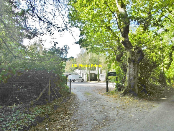 Photo 6"x4" Wareham, Carey Centre Wareham c2016