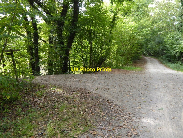 Photo 6"x4" Bridleway crosses Worth Way Felbridge c2016