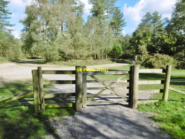 Photo 6"x4" Wareham Forest, gate Wareham c2016