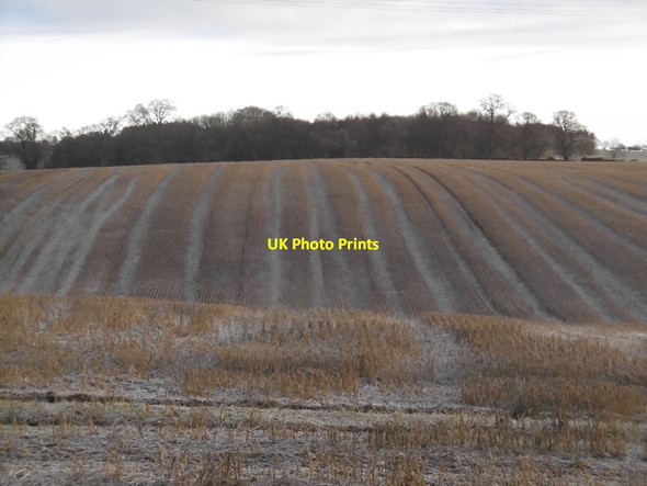 Photo 6"x4" Stubble, Ancrum Moor Ancrum c2016