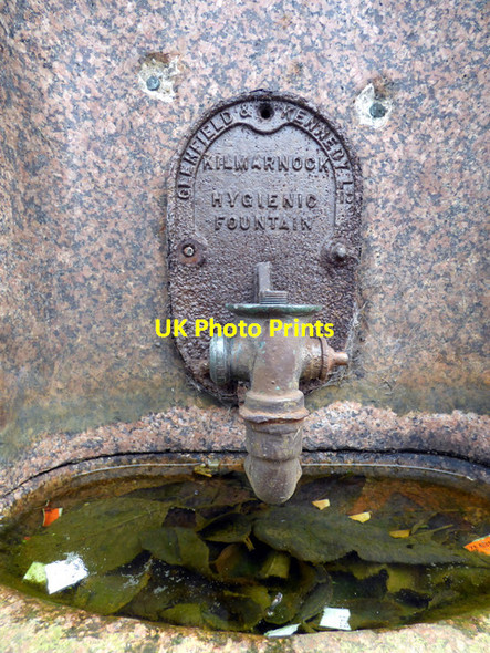 Photo 6"x4" Hygienic Fountain Paisley c2016 P1