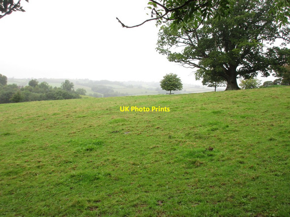 Photo 6"x4" Grass field at Acton Beauchamp Acton Beauchamp c2016