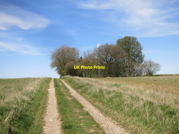 Photo 6"x4" Track near Leckhampstead Leckhampstead\/SU4376 c2016