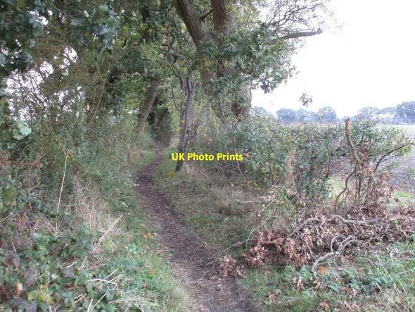 Photo 6"x4" Restricted B yway near North Field Farm Thurlby\/SK9061 c2016