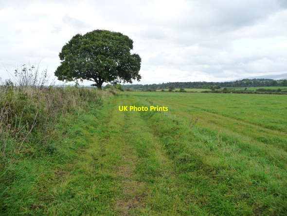 Photo 6"x4" Public footpath to Colby Laithes Appleby-in-Westmorland c2016