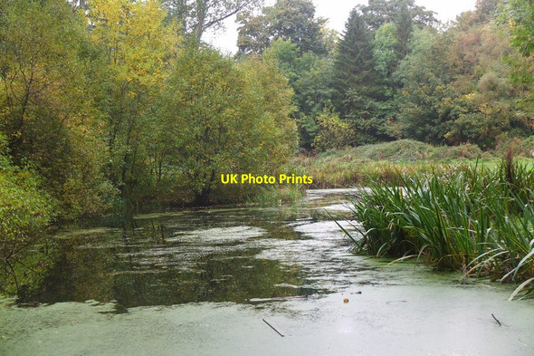 Photo 6"x4" Pond in Gala Policies Galashiels c2016