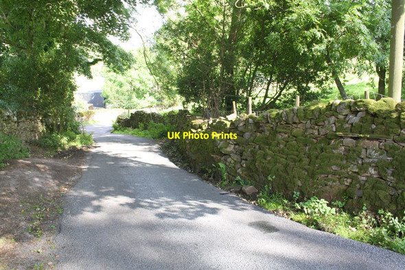 Photo 6"x4" Looking NE along High Lane Low Whita c2016
